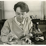 black and white photo of Barbara McClintock, famous geneticist, using her microscope (from Smithsonian)