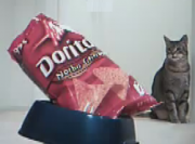 Potato Chips as Cat Food